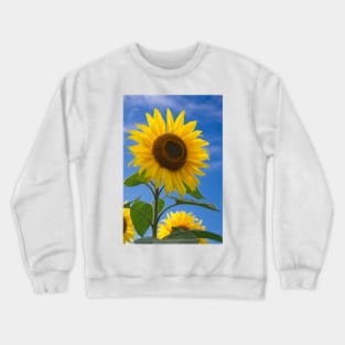 Sunflower Crewneck Sweatshirt